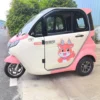 The Enclosed Electric Tricycle