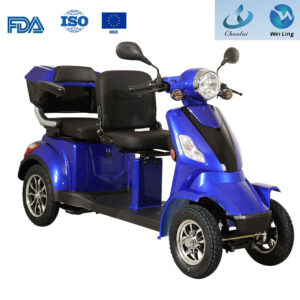 Green Power Transporter 2-Seat Electric Mobility Scooter for Adults