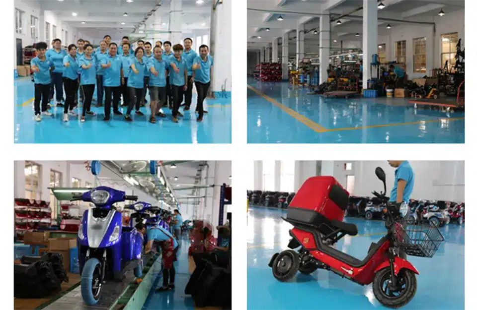 team and exhibition
