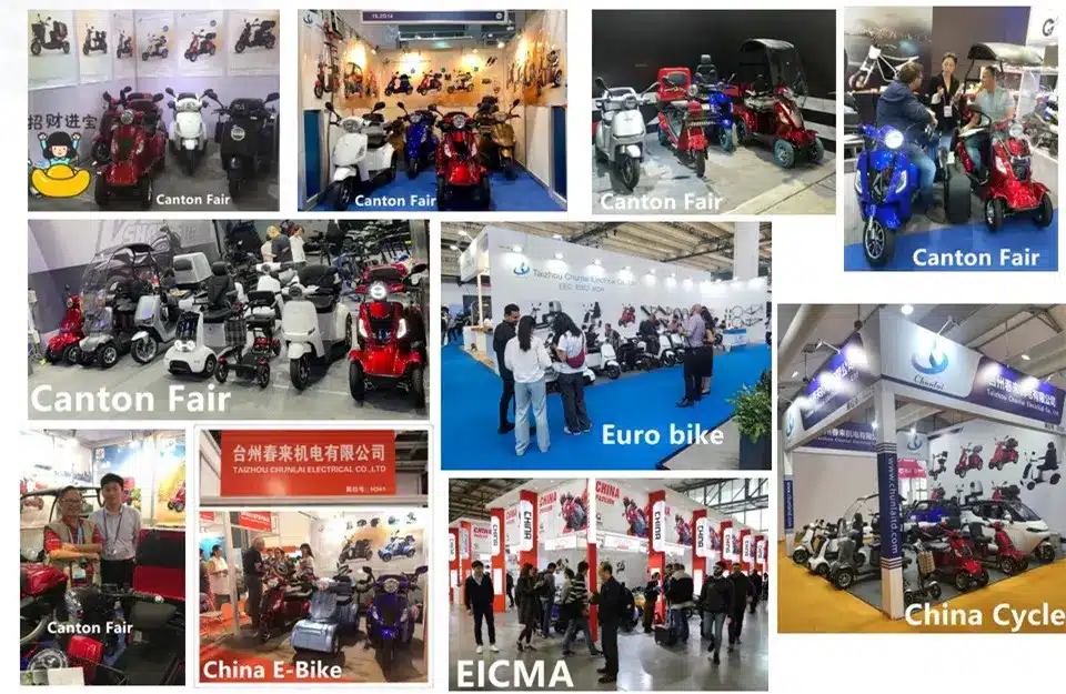team and exhibition