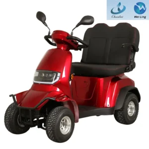 Chunlai Electric Mobility Golf Carts 2 Seater